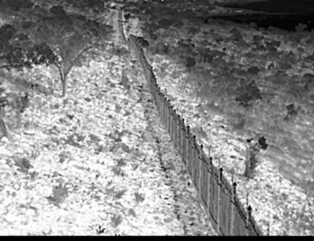 Thermal view of a perimeter fence line at night